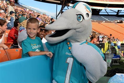 The iconic flipper mascot of the miami dolphins